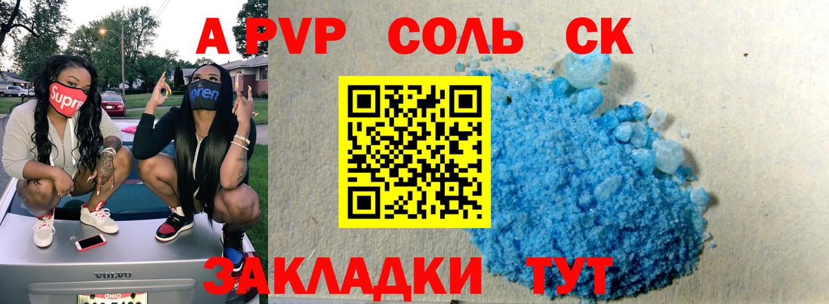 Alfa_PVP СК КРИС Гудермес