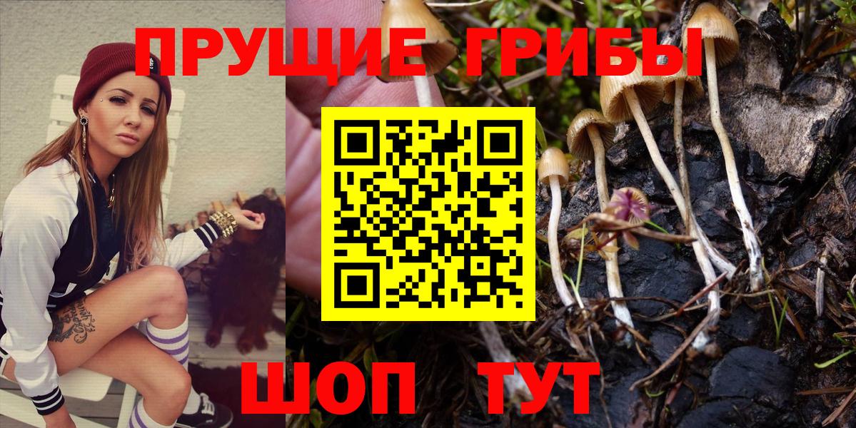 Псилоцибиновые грибы мухоморы  сколько стоит  Гудермес 