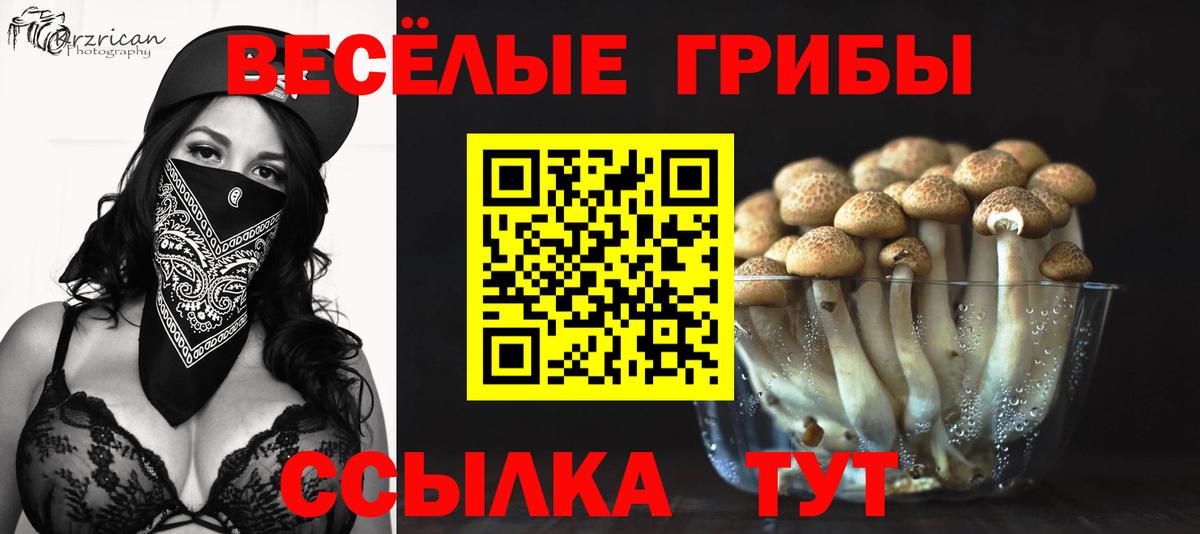 Псилоцибиновые грибы MAGIC MUSHROOMS  Вход с VPN  Гудермес 