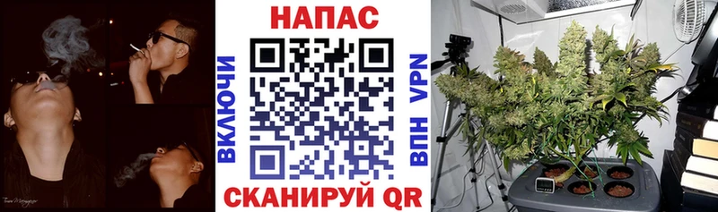 Шишки марихуана VHQ Гудермес